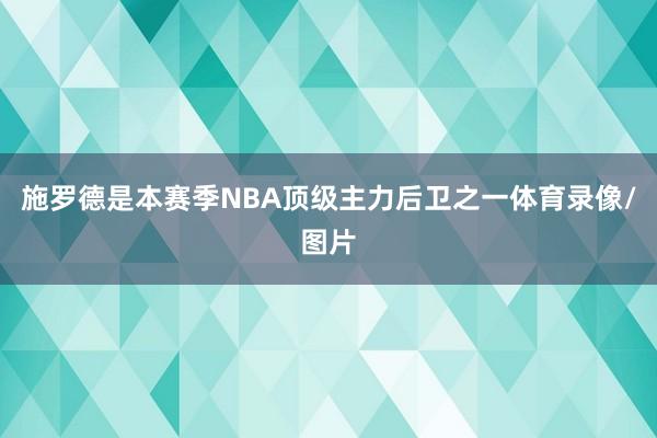 施罗德是本赛季NBA顶级主力后卫之一体育录像/图片
