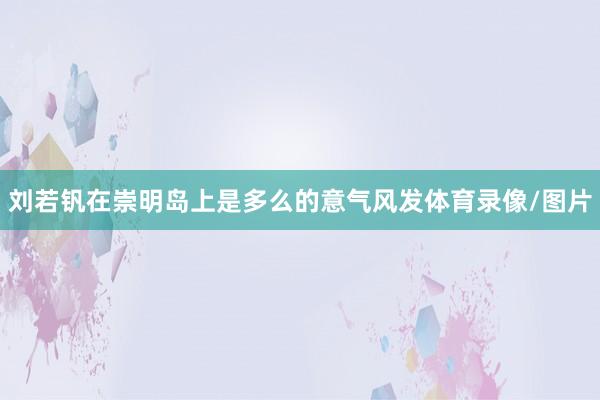 刘若钒在崇明岛上是多么的意气风发体育录像/图片