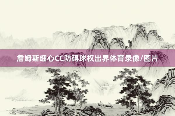 詹姆斯细心CC防碍球权出界体育录像/图片