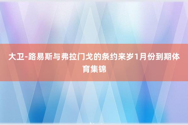 大卫-路易斯与弗拉门戈的条约来岁1月份到期体育集锦