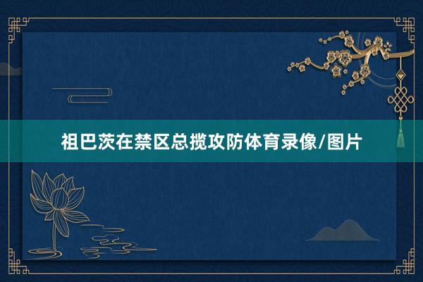 祖巴茨在禁区总揽攻防体育录像/图片