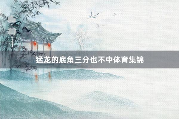 猛龙的底角三分也不中体育集锦
