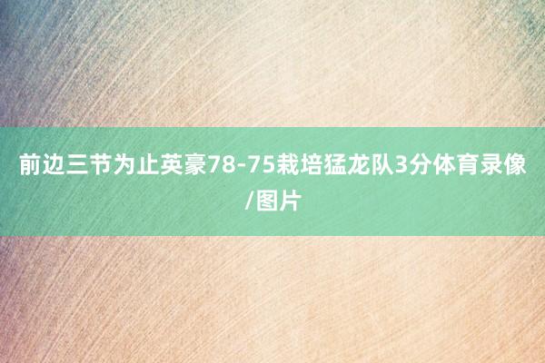 前边三节为止英豪78-75栽培猛龙队3分体育录像/图片