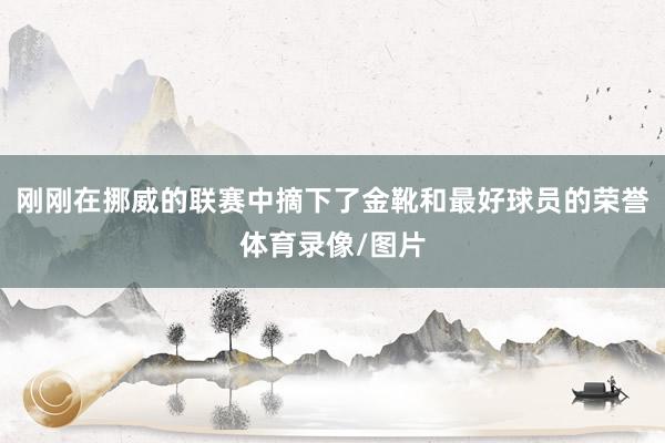刚刚在挪威的联赛中摘下了金靴和最好球员的荣誉体育录像/图片