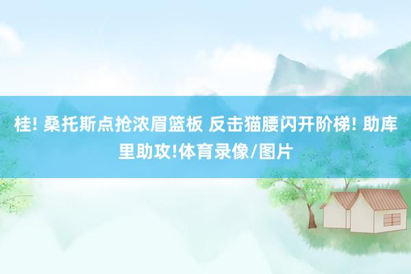 桂! 桑托斯点抢浓眉篮板 反击猫腰闪开阶梯! 助库里助攻!体育录像/图片