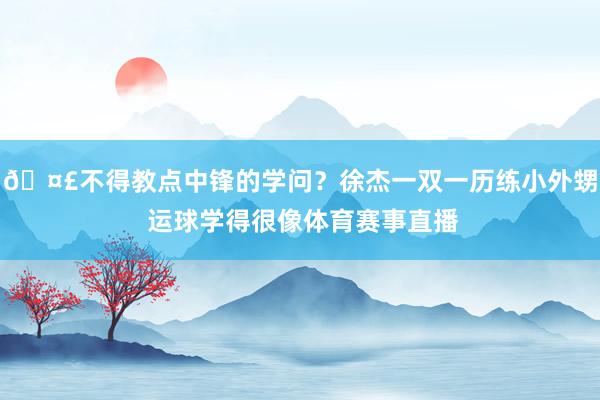 🤣不得教点中锋的学问？徐杰一双一历练小外甥 运球学得很像体育赛事直播