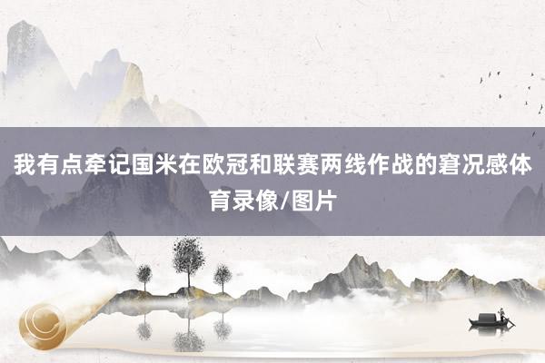 我有点牵记国米在欧冠和联赛两线作战的窘况感体育录像/图片