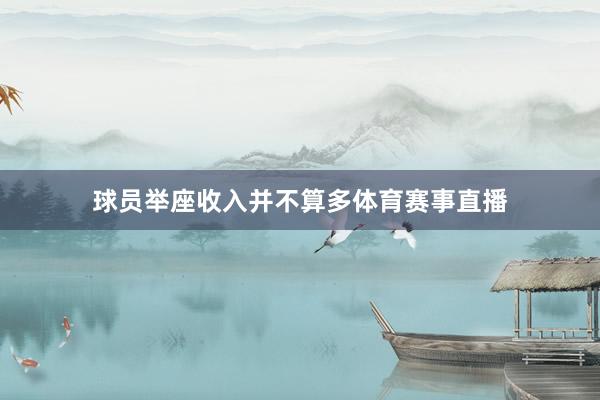 球员举座收入并不算多体育赛事直播