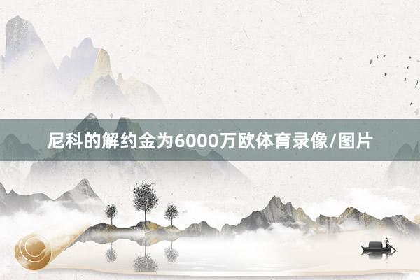 尼科的解约金为6000万欧体育录像/图片