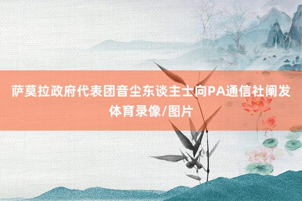 萨莫拉政府代表团音尘东谈主士向PA通信社阐发体育录像/图片