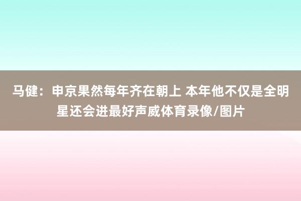 马健:申京果然每年齐在朝上 本年他不仅是全明星还会进最好声威体育录像/图片