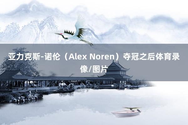 亚力克斯-诺伦（Alex Noren）夺冠之后体育录像/图片